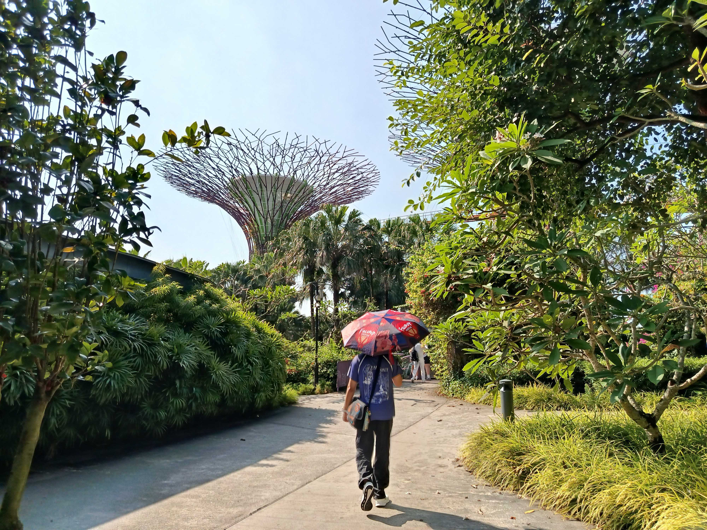 Jason at Gardens by the Bay
